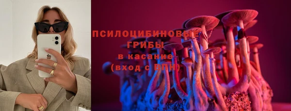 герыч Елизово