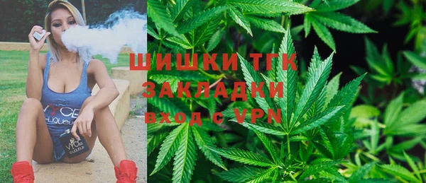 прущие грибы Кущёвская