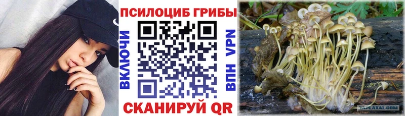 как найти наркотики  Данков  Галлюциногенные грибы мухоморы 
